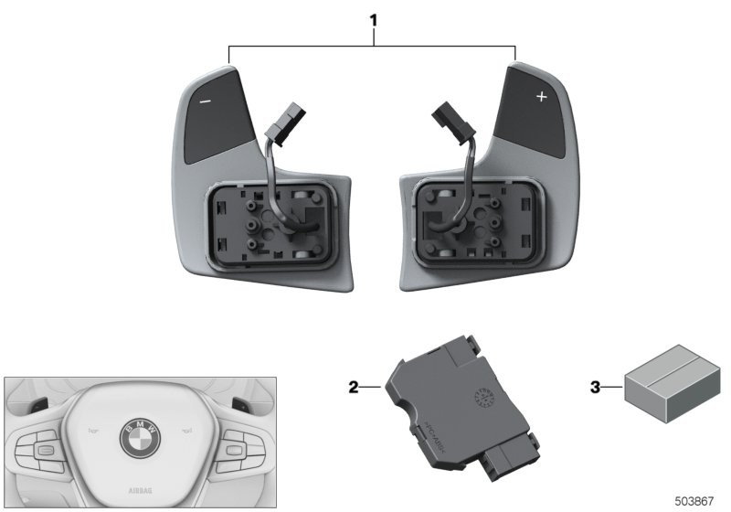 Steering wheel module and shift paddles